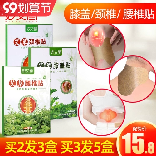 HS WORMWOOD CONTER PASTE AICAO теплый приток