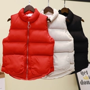 Đứng cổ áo vest Hàn Quốc thời trang mới không tay áo ngắn hoang dã thường lớn túi bông ấm bông vest