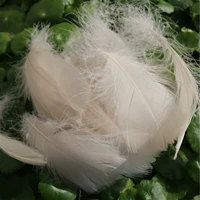 100 рок -цвет в красочном