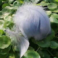 100 Deep Grey в верблюде