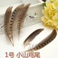 № 1 Хвост курицы Хиаогонга.