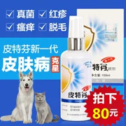 Golden Shield Thế hệ mới Pitphen Spray Pet Fungus Aphid Cat 癣 Cat Removal Triệt lông ngứa Bệnh da mèo - Cat / Dog Medical Supplies