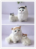 Пара кожаной ленты под названием, указывающая на случайное соответствие цветового котенка