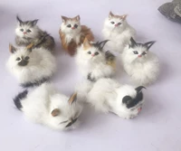 Случайное распределение 10 -сантиметровой полосы полосы группы