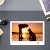 Jiademei 8-inch độ phân giải cao khung ảnh kỹ thuật số máy nghe nhạc điện tử album ảnh lịch để bàn đồng hồ báo thức quà tặng tùy chỉnh Khung ảnh kỹ thuật số