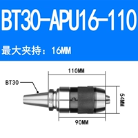 BT30-APU16-110 (бесплатная доставка латынь)