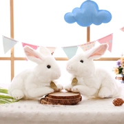 Chính hãng New Rabbit Rabbit Plush Toy Mô phỏng Thỏ trắng Búp bê Ragdoll Thỏ Sinh nhật Con gái Quà tặng - Đồ chơi mềm