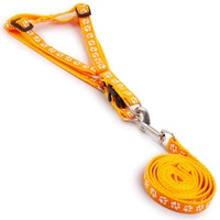 Оранжево -желтый отпечаток когтя