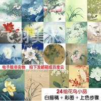 Гонгби цветок и птица 25 набор картин Белый рисунок Цвета Карта Шаги и текстовые описания практики начальной школы.