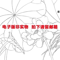 58 Lotus High -Clear Line Rawing Gongbi Картинка цветы и птицы Материал белый тракт вечеринка является чистой и большой размер