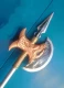 Рыбая ручка AX+головка пистолета