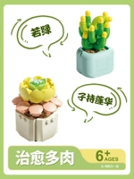Zi Lianhua+Ruo Green