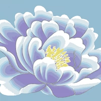 Различные таможни орфографии, пожалуйста, проконсультируйтесь с обслуживанием клиентов