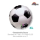 [足球 Championship Soccer]