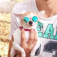 Солнцезащитные очки, трендовый аксессуар, кошачий глаз