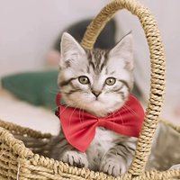 Большой красный