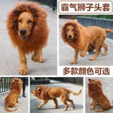 Golden Retriever Funny Lion Cover Cover, превращенный в Pet Corgi и другие средние и большие собачьи шляпы, такие как собаки