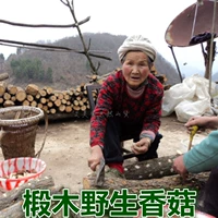 Новый груз Qinling Wild Marci Shiitake Fresh Dry 500G грибов грибов грибов содержит небольшие грибы, кантонский объем, фунт