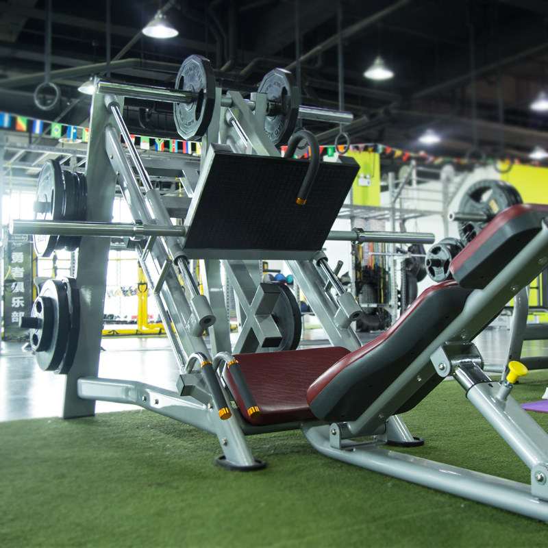 Elite Mega Gainer: ����.