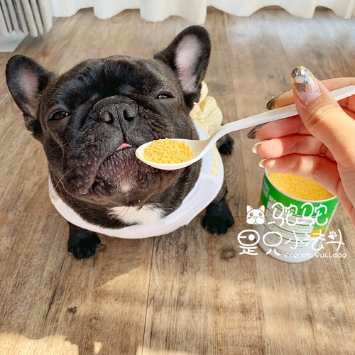 Camel Houjiabenza Real Estate Development Treasure Pet Dog Проводящие желудочно -кишечные щенки малые и средние собаки 350 г