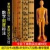 Товары от 黄河医学模型公司