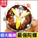 Super Chemical Series Crash Sword 634701s