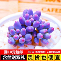 Детские пальцы