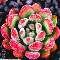 Светло-синий