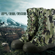 Giày bảo hộ lao động dây kéo cao cấp mùa xuân hè Giày tập luyện chống rắn Giày chống cát chống gai Giày đi bộ đường dài nam Giày bảo hộ giày vải ung bao ho