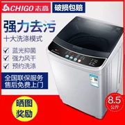 Máy giặt Chigo 7.5 tự động 5.5 hộ gia đình nhỏ ký túc xá sóng bánh sấy khô 8,5kg sấy nóng công suất lớn - May giặt