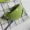 Kiwi Green Toàn bộ Series Bộ đồ ăn bằng gốm Bát Tấm Tây Tấm Nhà Tấm 7,5 inch Bán - Đồ ăn tối
