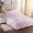 Bedspread giường váy một mảnh công chúa Hàn Quốc flounced bộ khăn trải giường DN giường Simmons nắp bảo vệ 1,5m 1.8m - Trang bị tấm khăn trải giường spa