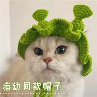 Pet Edition S (3 ~ 6 Catties) Ruffled Edge