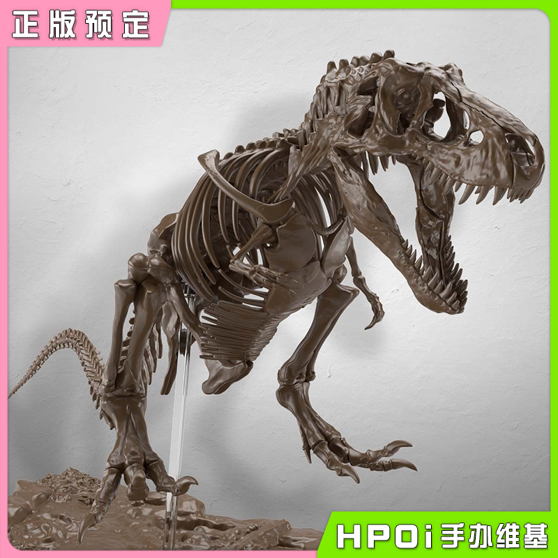万代 1/32 Imaginary Skeleton 霸王龙化石 拼装模型