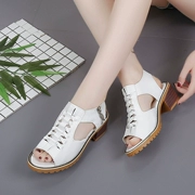 2018 cao su mới của Hàn Quốc thời trang gót thấp dày với mở ngón chân dép nữ dây kéo giản dị gót thấp dày với dép phụ nữ