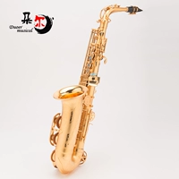 Ma Jin được chạm khắc bằng ống saxophone E-Flat alto FAS-866 trống điện