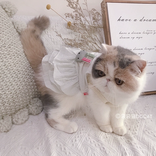 Кружевное брендовое платье, осенняя юбка