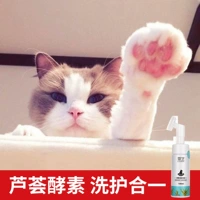 Кошка мыть платичники для мытья пена пена пена котли