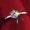 S925 sterling bạc zircon nhẫn cưới đính hôn 1 carat kim cương nhẫn Nhật Bản và Hàn Quốc mô phỏng khí chất ngày Valentine quà tặng đơn giản nhẫn hột xoàn
