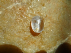 Ювелирные камни 彩虹石英猫眼 珠宝奇石