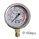 Chống sốc đồng hồ đo áp suất chống sốc áp suất nước áp suất không khí áp suất dầu YN-60 1.6mpa chống sốc 16 kg toàn bộ đồng