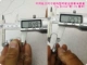 【Мелкие крючки мягкие】 Священный схема головы 7G*50 капсул