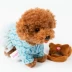 Mô phỏng các điện chó đồ chơi Teddy thông minh thú cưng điện tử lệnh bằng giọng nói con chó con chó con từ xa sang trọng đồ chơi cho trẻ em Đồ chơi búp bê