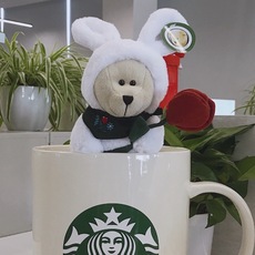 Starbucks starbucks星巴克亚太2020中秋节毛绒玉兔小熊177号全新包快递