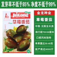 Golden Dragon Strawberry Tomato/около 300 капсул