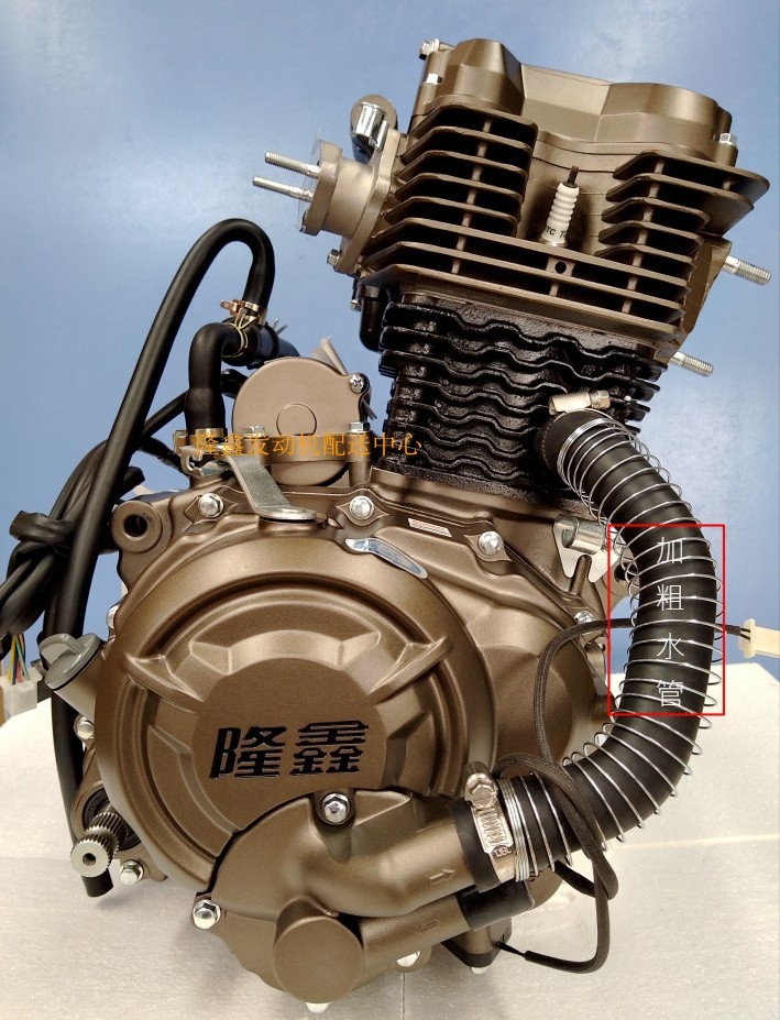 Китайские двигатели для мотоциклов. Мотор 166 FMM 250сс.