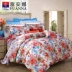 Fu Anna nhà dệt bông chăn đơn mảnh đôi 1,5m chăn đơn giường chính hãng 1,8 m - Quilt Covers Quilt Covers