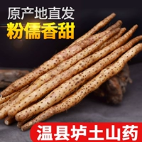 Wenxian Tuku Iron Stick yam henan jiaozuo Fresh Huaihuai Yam таблетки Железные колл