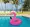 Vòng bơi fliringo flamingo để tăng dày nách phao cứu sinh bơm nước trôi nổi trôi giường - Cao su nổi