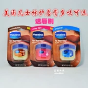 Hoa Kỳ đã trao lại mặt nạ ban đầu Vaseline Vaseline Lip Lip Balm Cacao Rose Rose 7G - Son môi